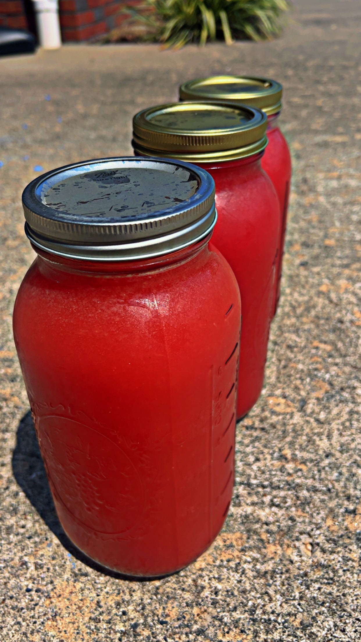 Bloody Melon